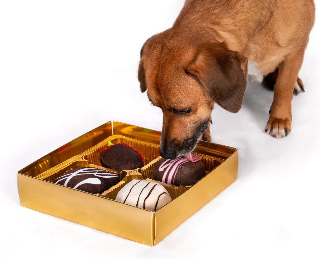 Puppies Love Food Too – Deluxe Dog Treat & Toy Gift Set (5-Piece Gift Box)